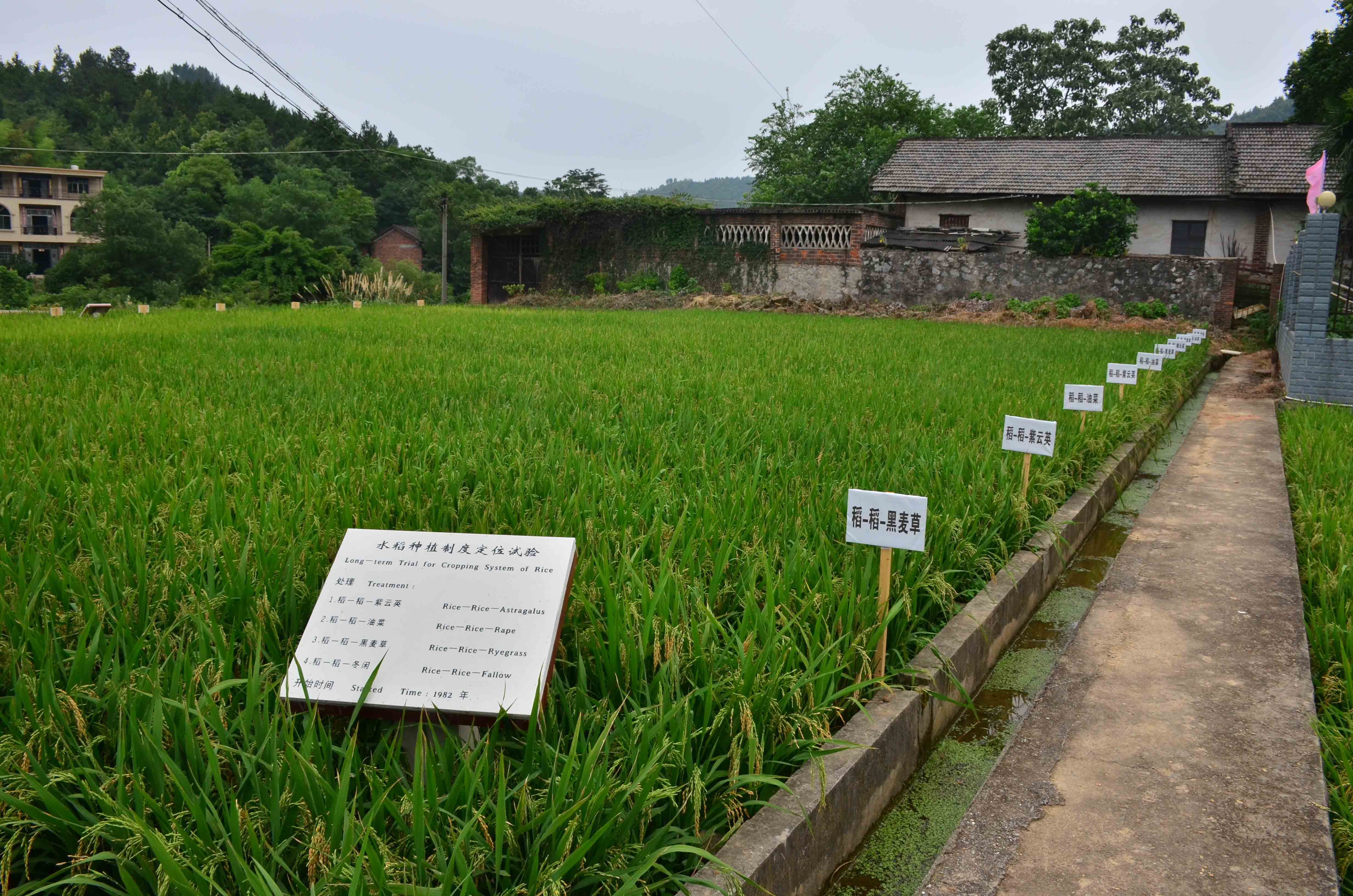 回收废弃油脂